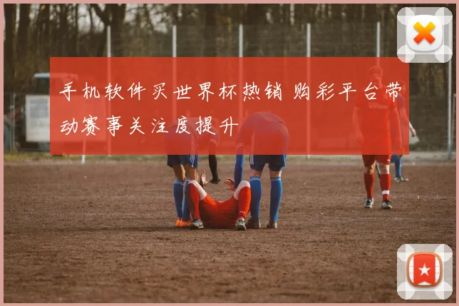 手机软件买世界杯热销 购彩平台带动赛事关注度提升